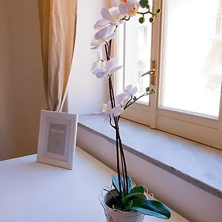 Maison Ortigia Bed & Breakfast