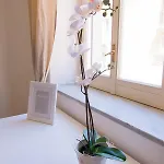 Maison Ortigia Bed & Breakfast Syracuse